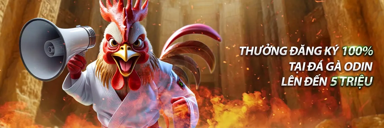 Đá Gà Trực Tuyến 6vin Đăng Ký